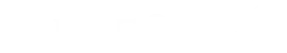 doublestar Logo